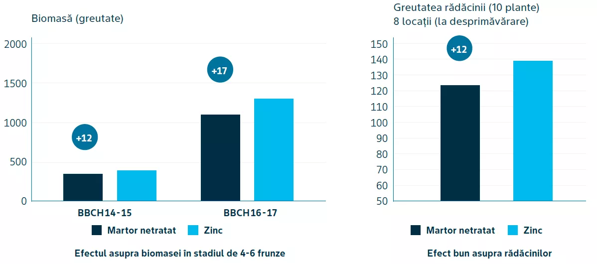 Bar charts comparing biomass and root weight